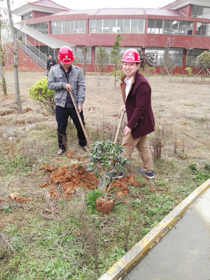 種一棵小樹(shù)，綠一方凈土